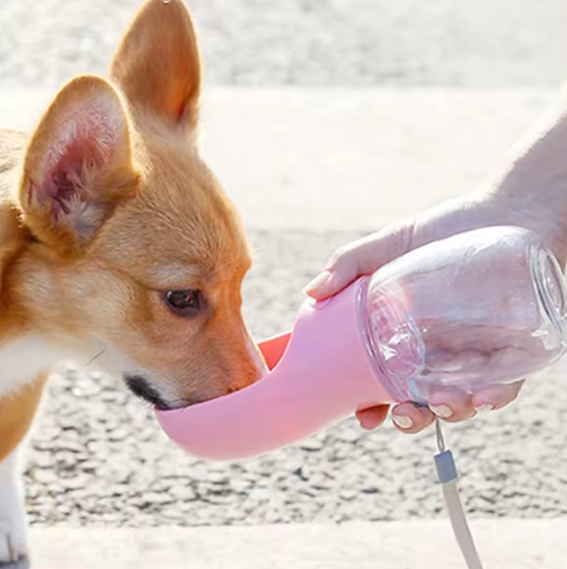 Dog travel bottle 350 ml pink