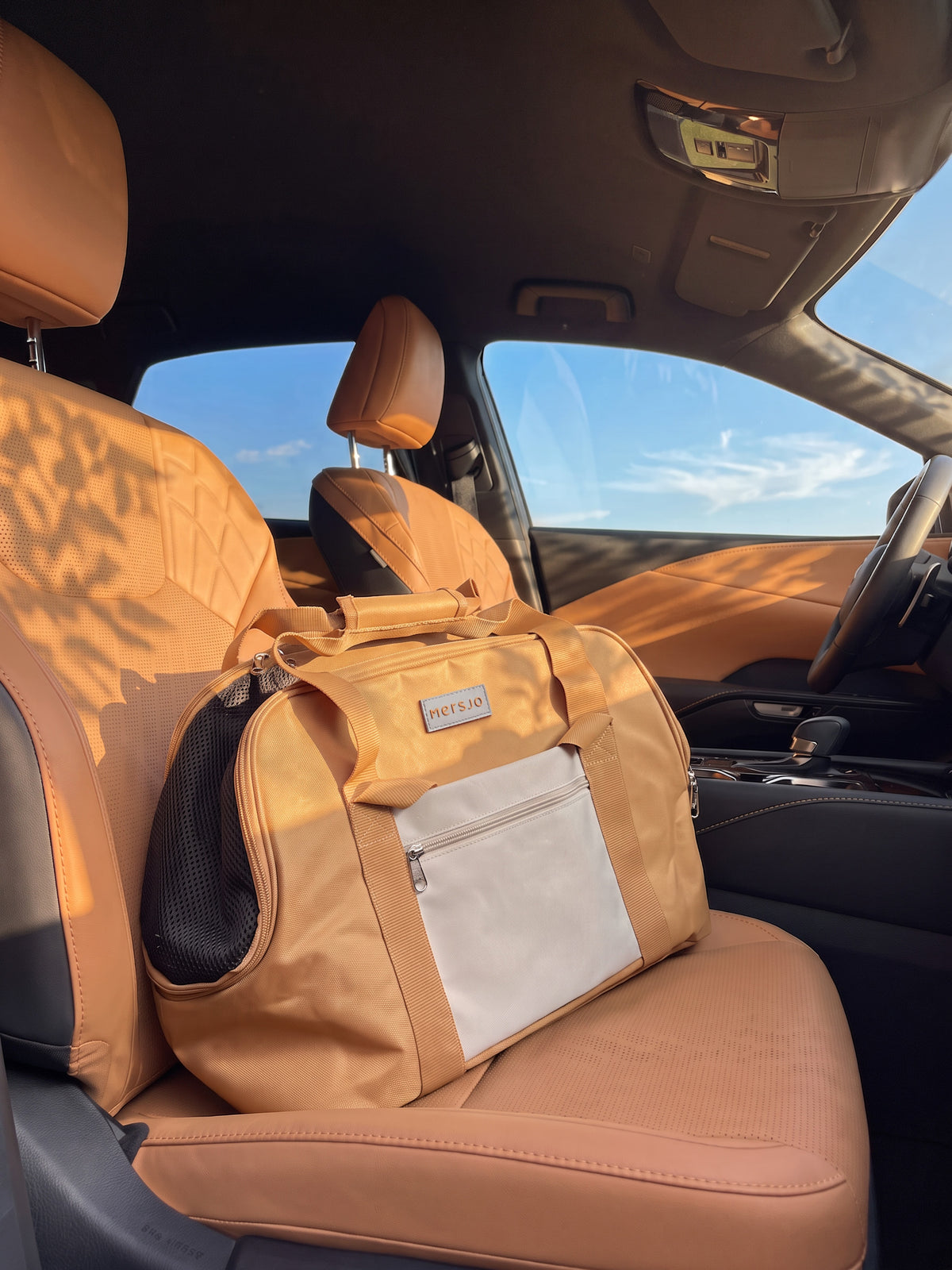 Haustiertransporttasche EasyTravel braun