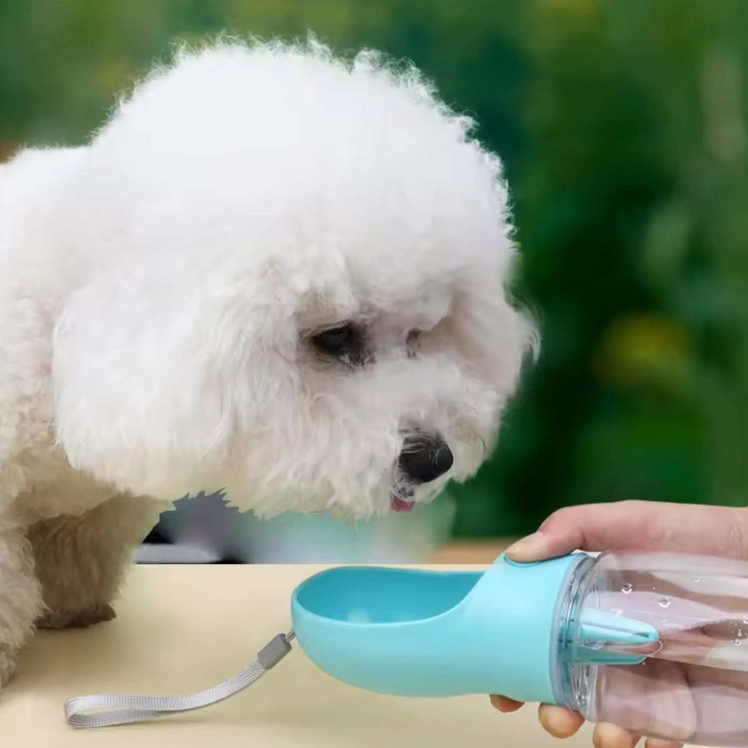 Dog travel bottle 350 ml turquoise